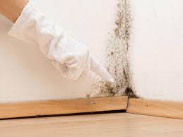 Best Black Mold Removal  in Chino, CA